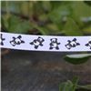 Order  Animal Cuties - Panda White
